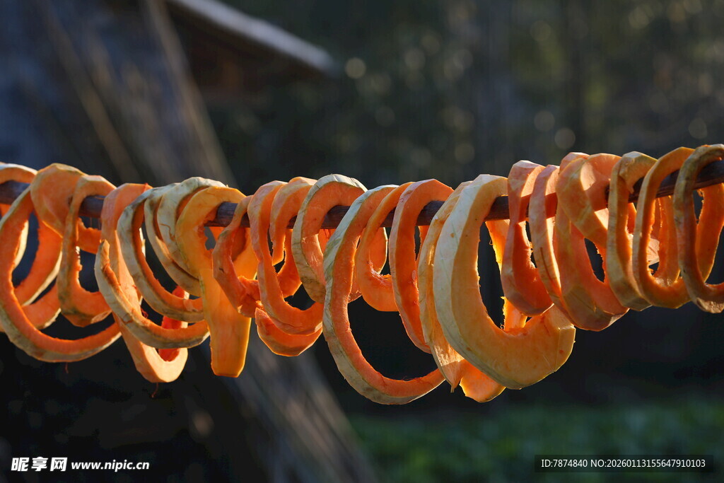 晾晒的橙色环状果蔬干