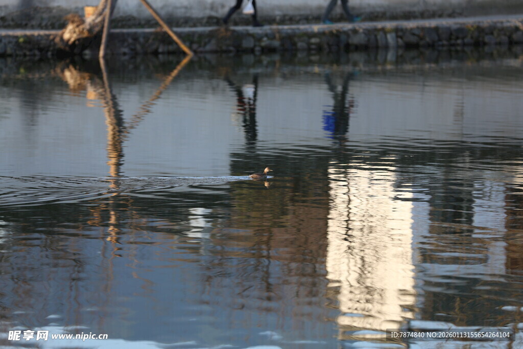 水面倒影中的城市景象