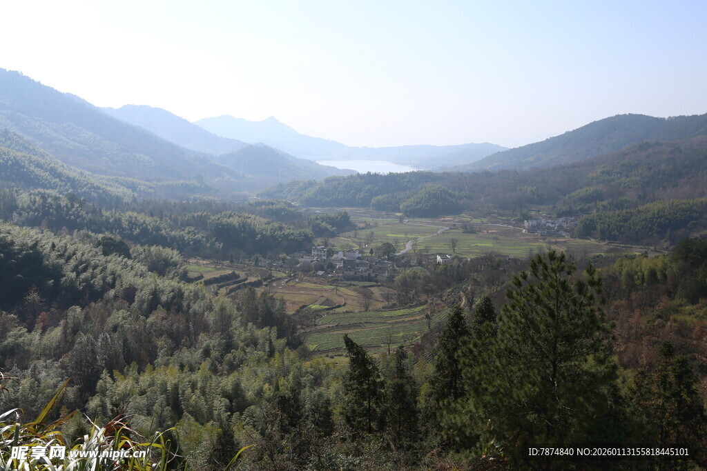 山间葱郁森林景观