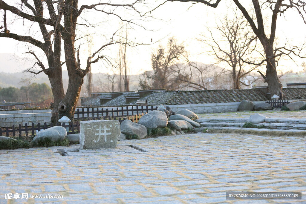 雪覆庭院 静谧冬日景象