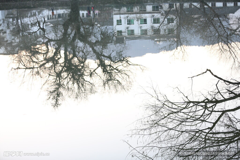 冬日雪景中的建筑与树木
