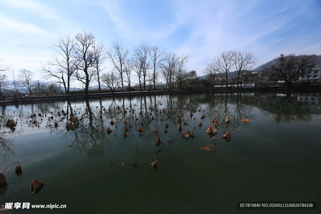 宁静湖面与岸边树木景致