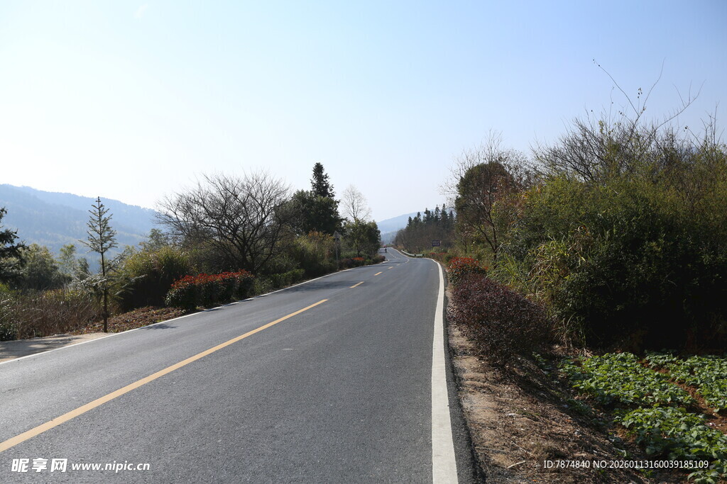 蜿蜒公路旁的自然景致