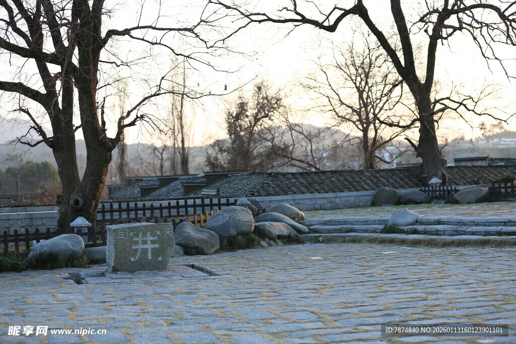 冬日雪覆公园静谧景致