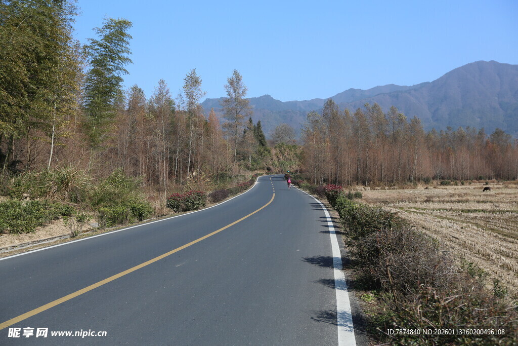 蜿蜒公路旁的自然风光