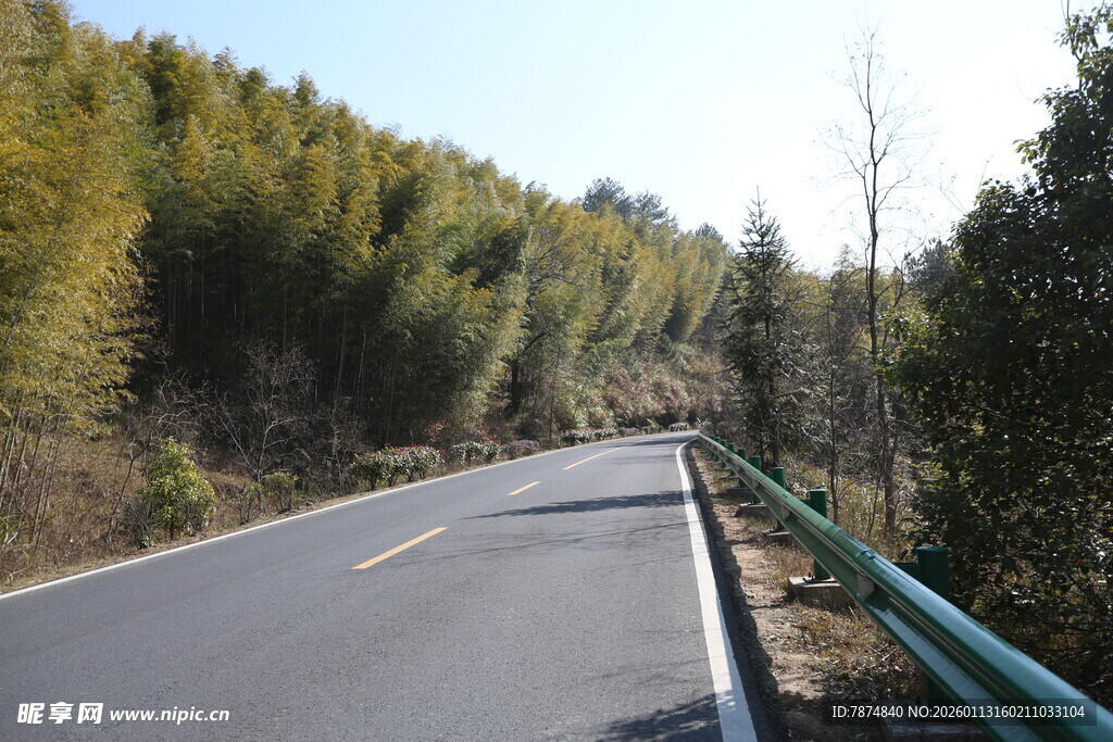 山间公路 绿意环绕的风景