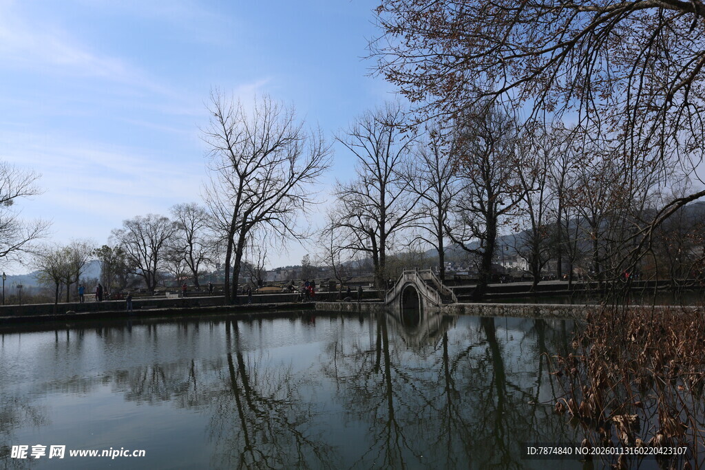 冬日湖畔静谧景致