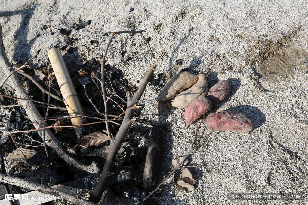 沙滩上的杂物与海洋垃圾