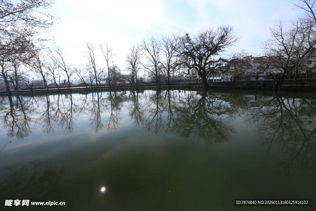 宁静湖面倒影岸边树木