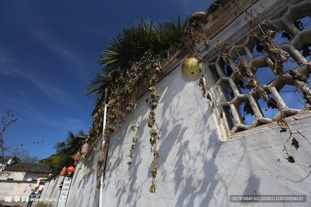 古老斑驳墙面与蓝天绿植