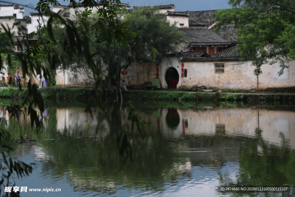 江南水乡静谧池塘景致