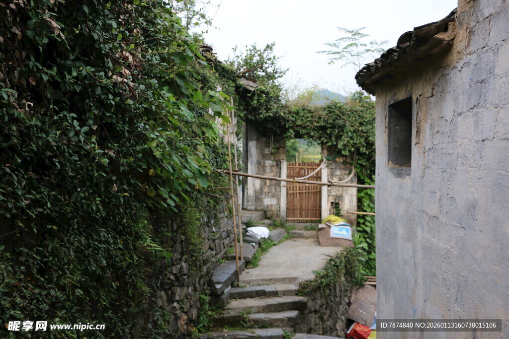 乡村小巷 绿植环绕的民居