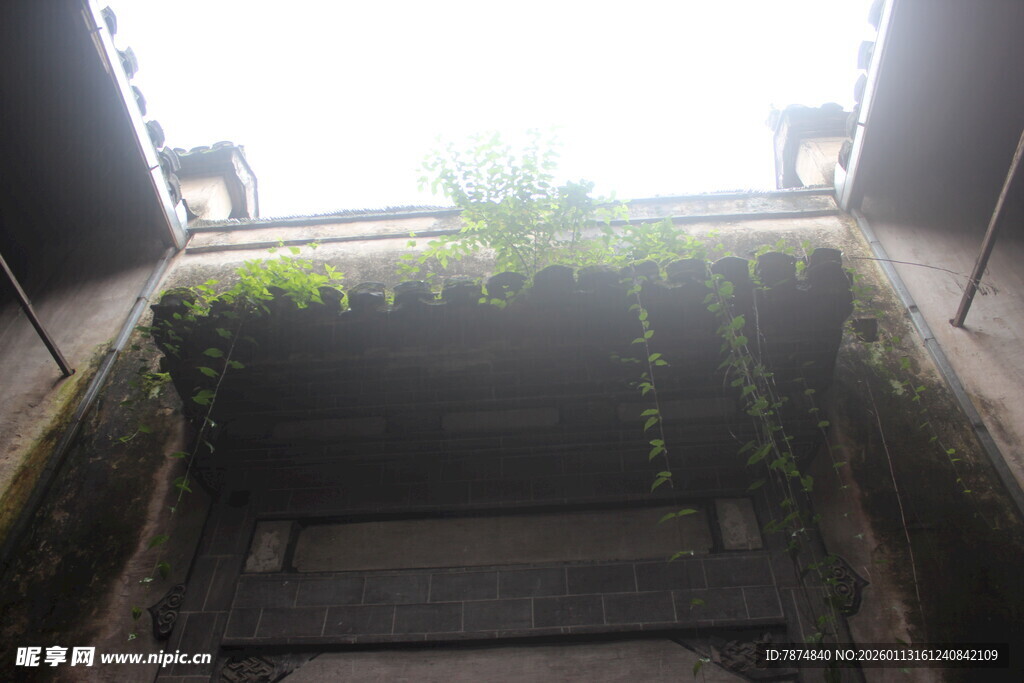 室内绿植装点的楼梯空间