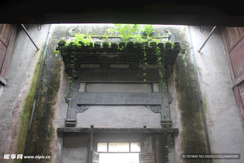 老旧建筑上的绿植景观
