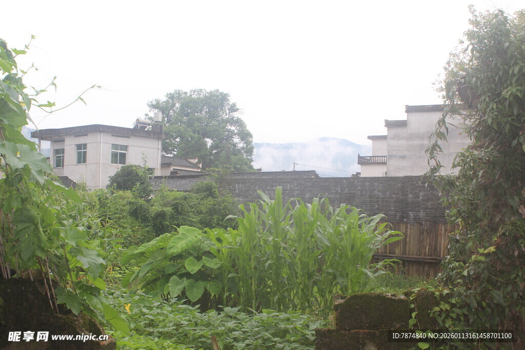 乡村绿意环绕的古朴建筑