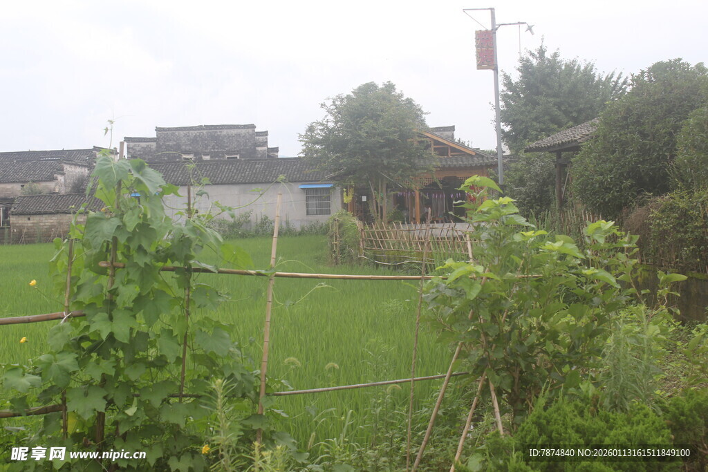 乡村田园风光景致