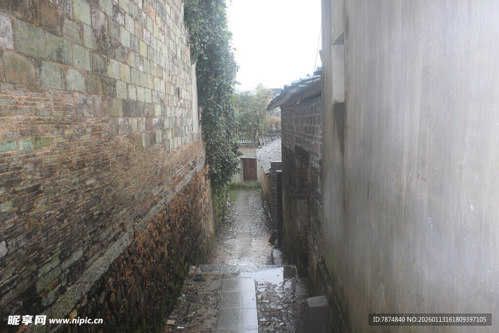 狭窄小巷 雨后静谧景象
