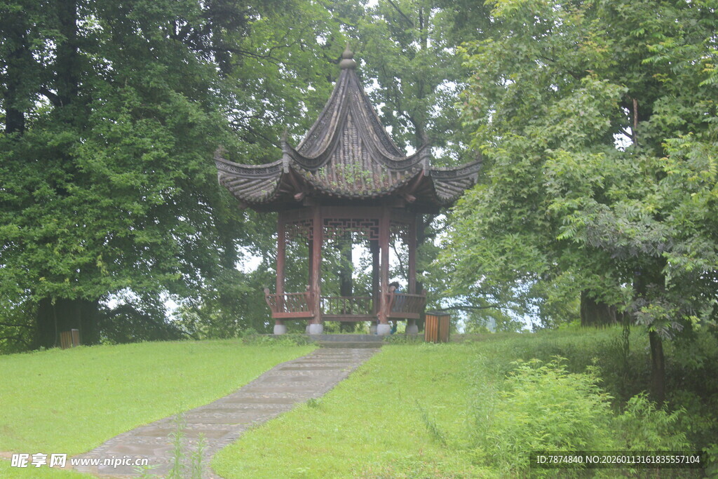 林间古亭 绿意环绕的景致