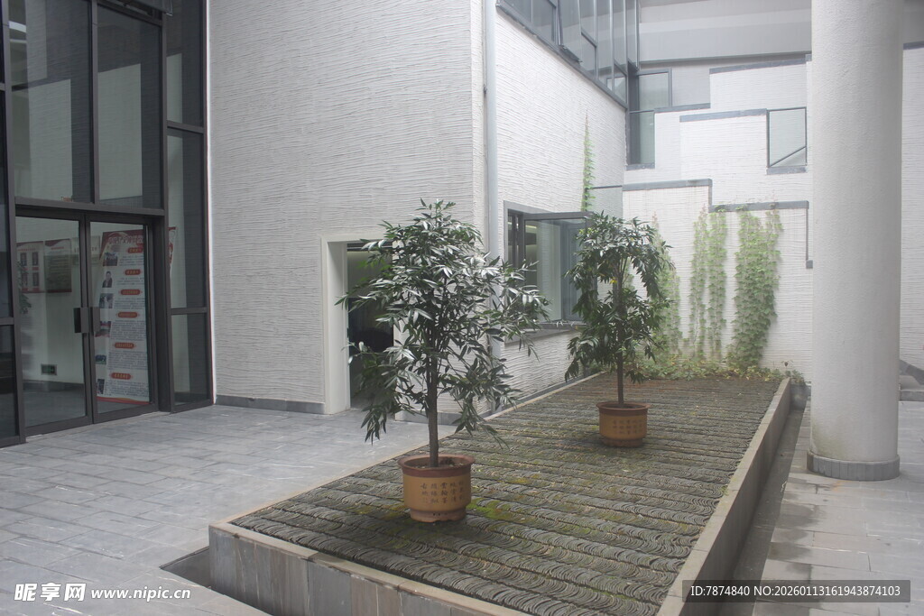 现代庭院绿植景观