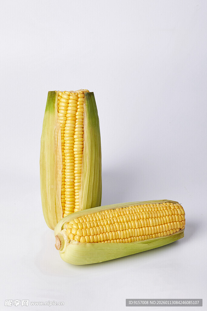 两根新鲜玉米