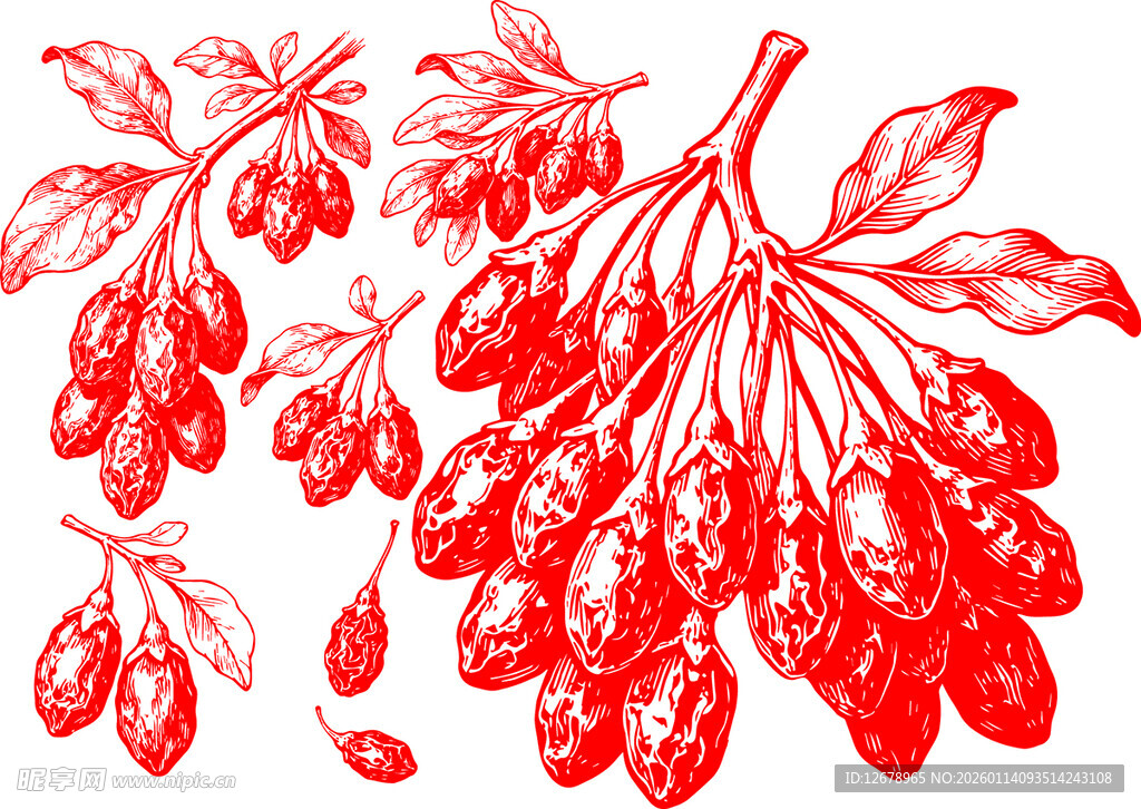 红色枸杞植物图案素材