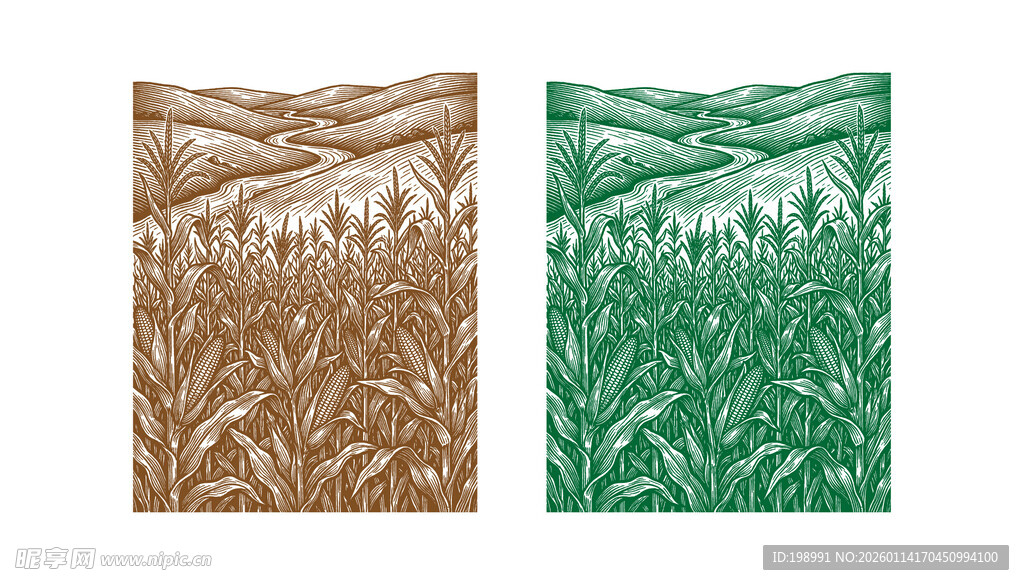 矢量山水玉米地