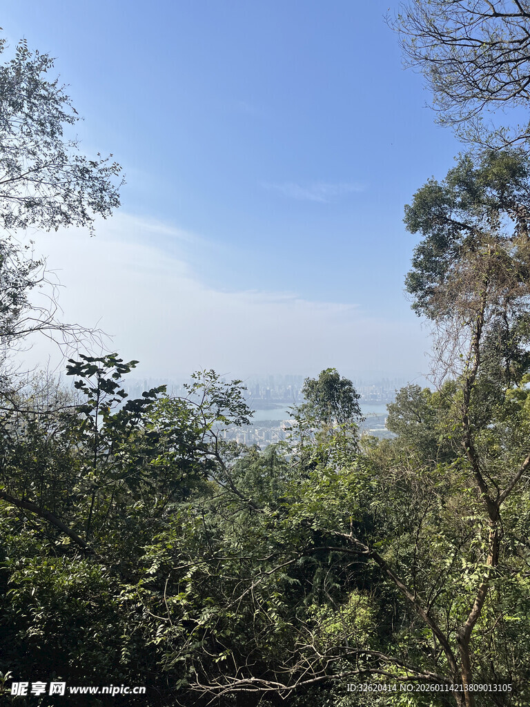 山林间的蓝天绿树景致