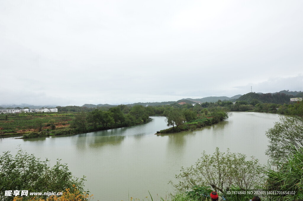 河畔风光 绿意盎然的水域