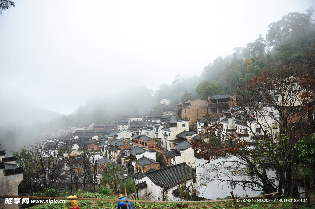 雾中村落隐于青山绿林间