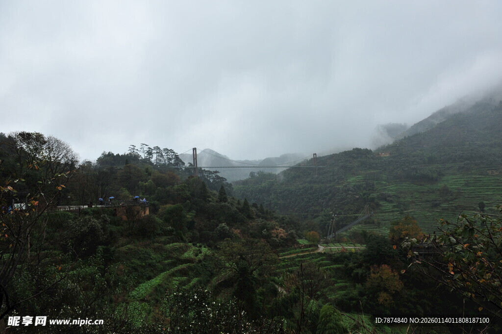 云雾缭绕的山间绿植景观