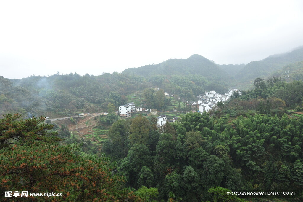 山间村落隐于葱郁林木间
