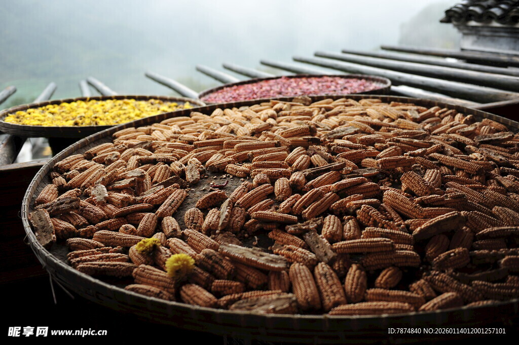 大盆中的多样美味坚果