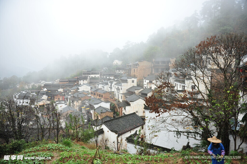 雾中村落 静谧田园风光