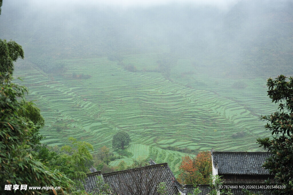 山间雾绕村落美景