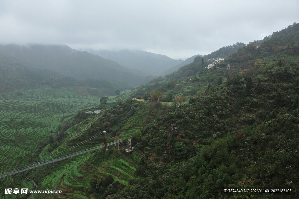 山间云雾缭绕的绿色景致
