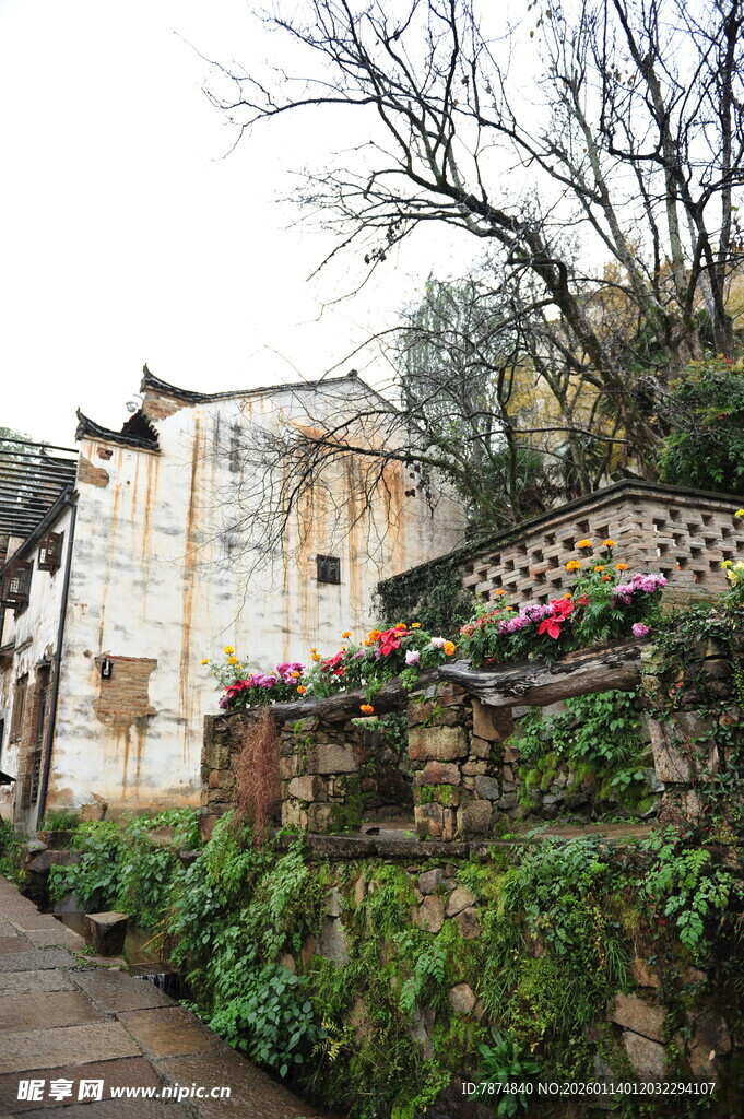 古巷老宅 绽放别样生机