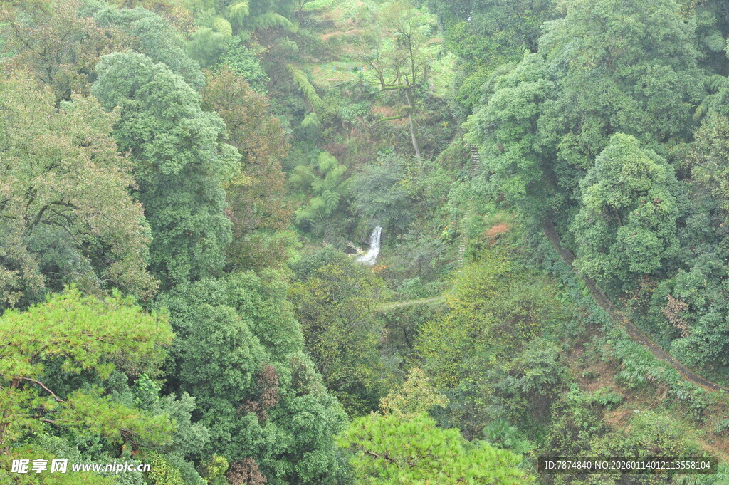 山间翠绿中的隐秘瀑布