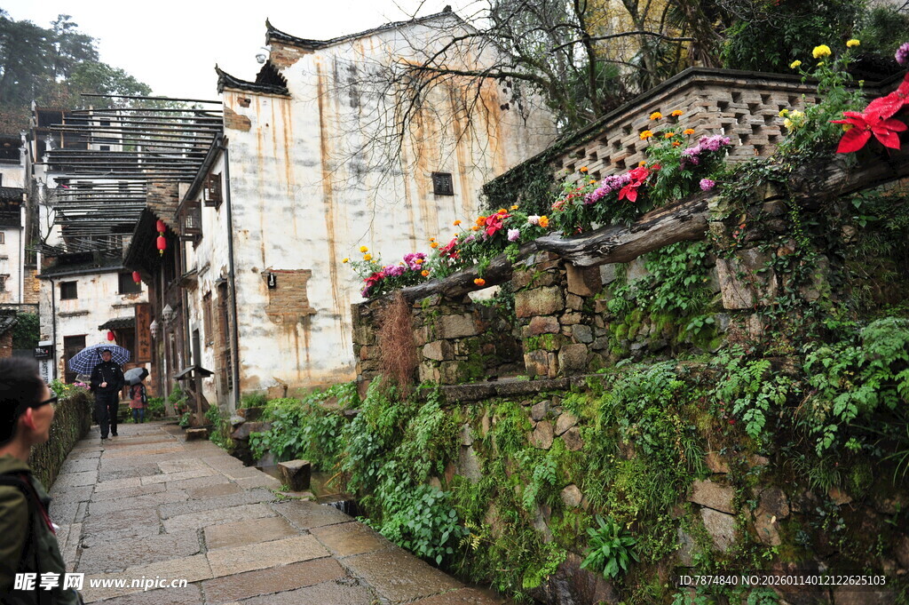古巷人家 绿植环绕的景致
