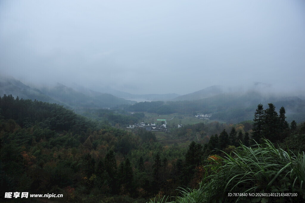 山间雾景 绿意盎然的山谷