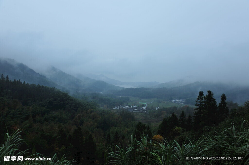 山间雾色 静谧山林景致