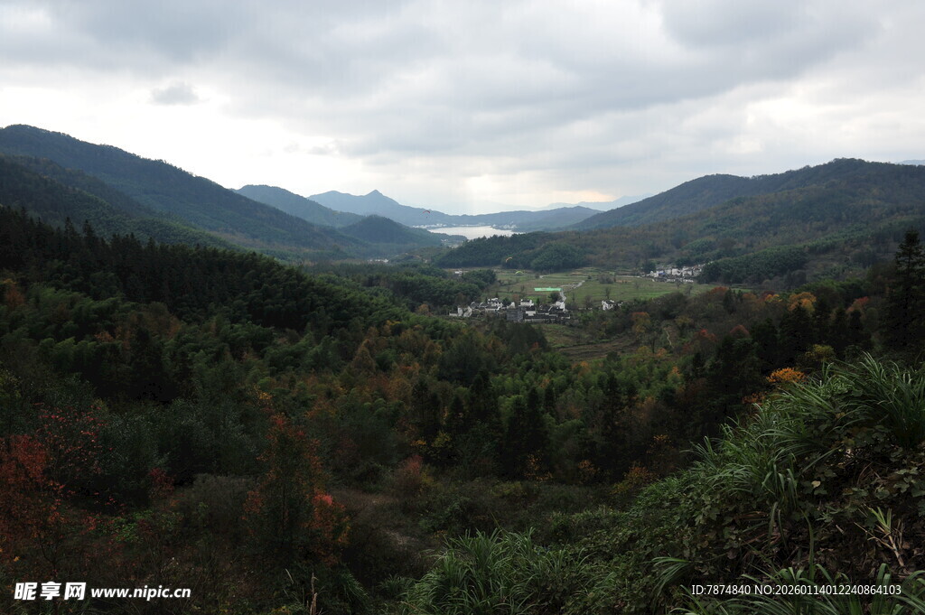 山间景色 绿意盎然