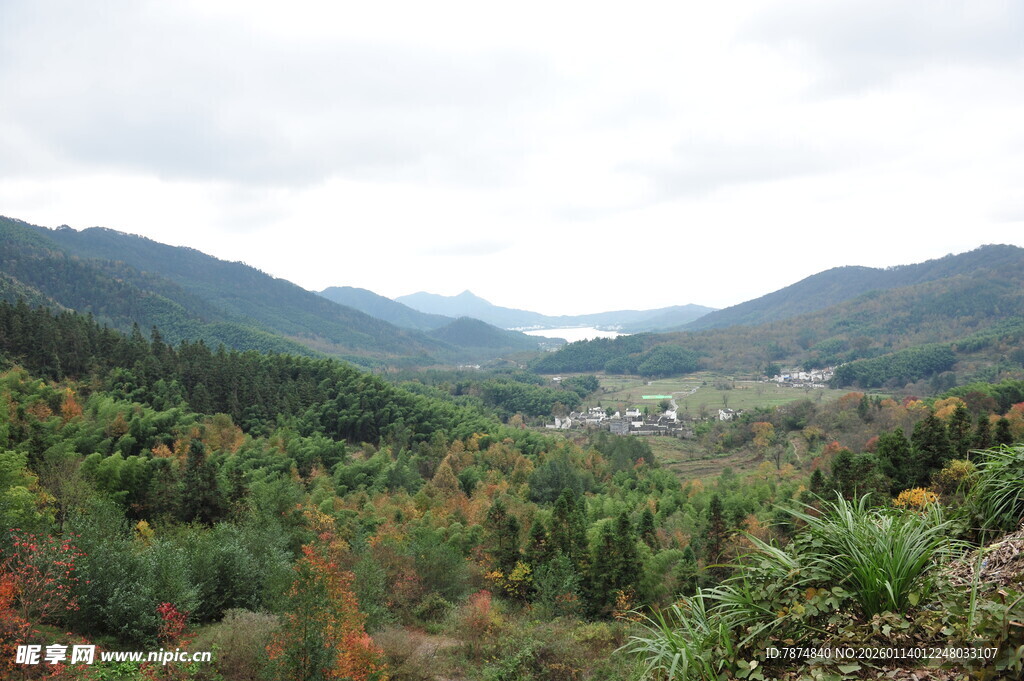 山间多彩林景 远村隐现