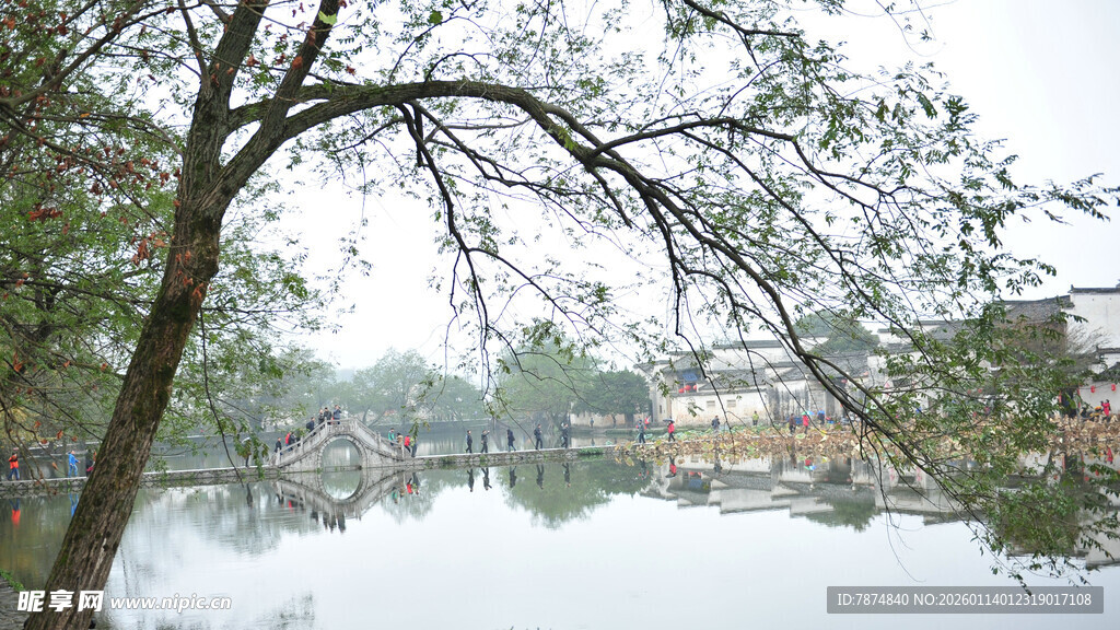 湖畔垂柳下的宁静水乡