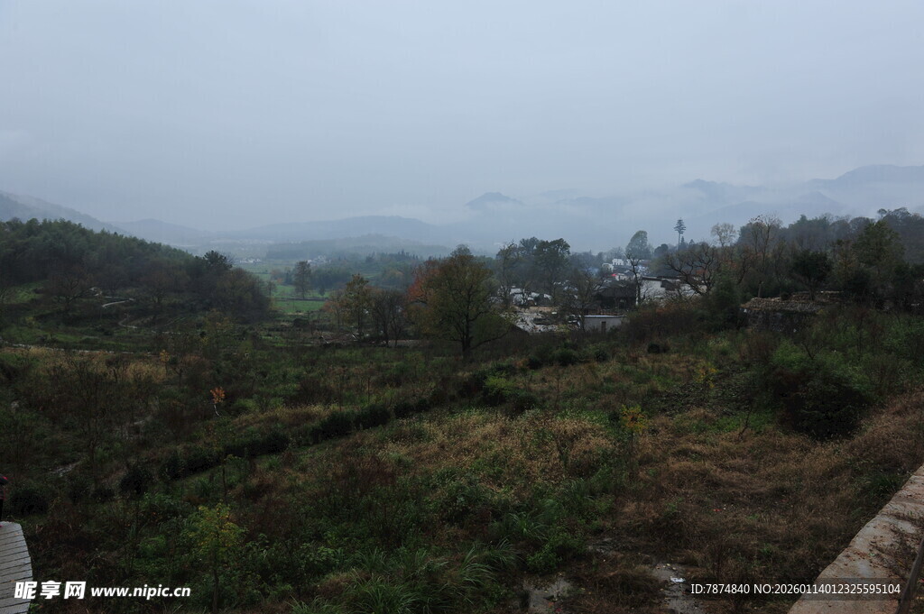 雾中乡村景致