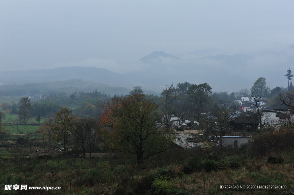 雾中乡村景致