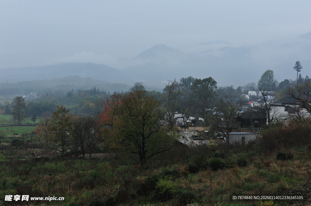 雾中乡村景色
