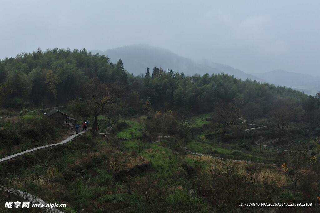 山间绿野 蜿蜒小路