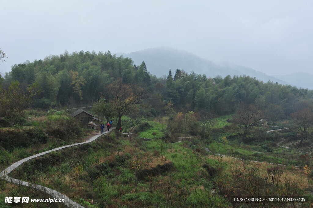 山间蜿蜒小路 绿意盎然