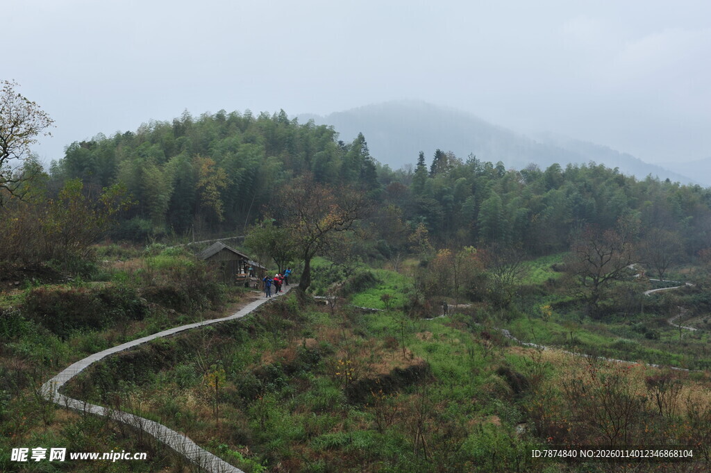 山间蜿蜒小径 绿意盎然