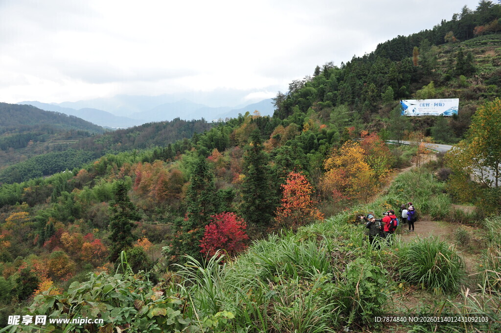 秋日山林徒步美景